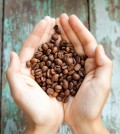 Coffee Beans in a Women's Hand